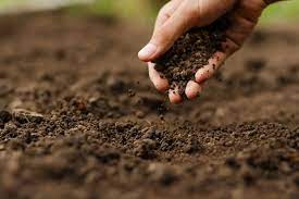 تصویر 1 از کود ورمی کمپوست + با کیفیت